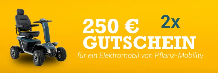 250 € Elektromobil Gutschein