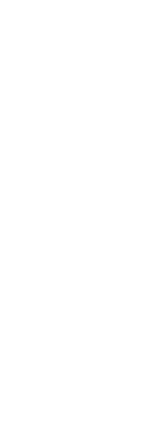 Logo Access