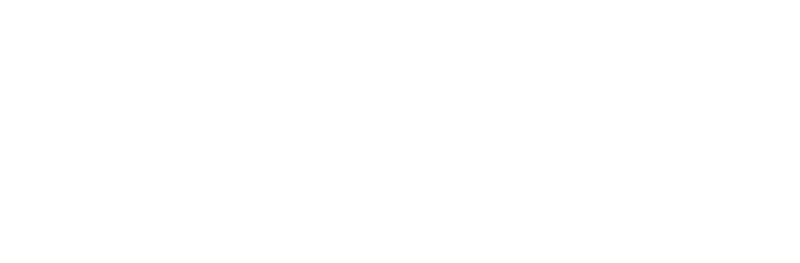 Logo Lehner Lifttechnik